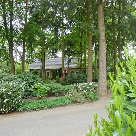 Holiday Home Bosrijk Ruighenrode-1 By Interhome