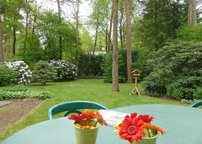 Semesterbostad 2-1 By Interhome Lochem